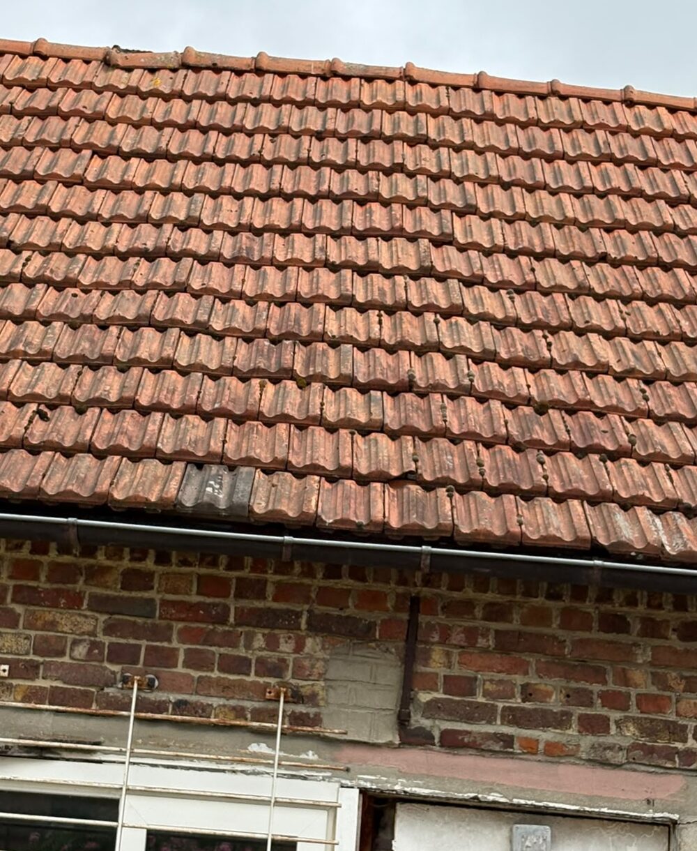 Toiture ancienne couverte de mousses et de salissures